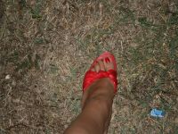 img_2437.jpg