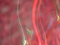 img_2577.jpg