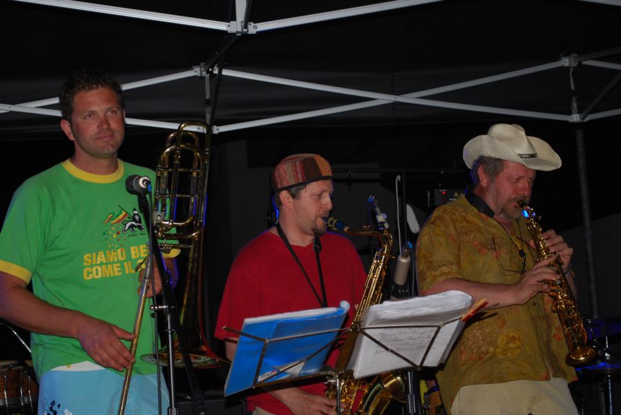 pavos_festa_della_solidarieta_01.jpg
